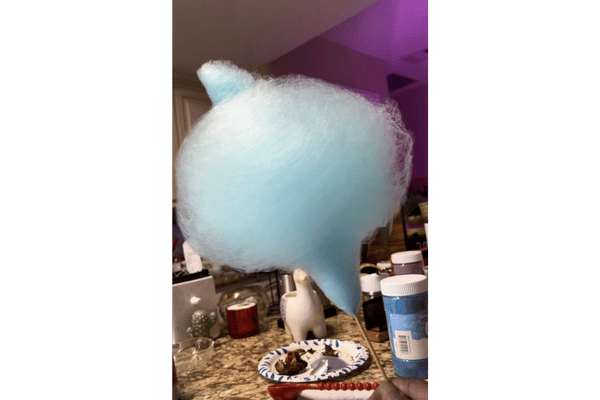 Cotton Candy Made Using Ambiano Cotton Candy Maker