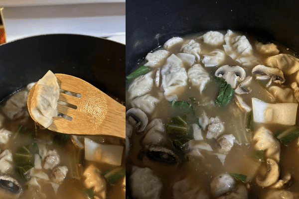 Made Dumpling Soup