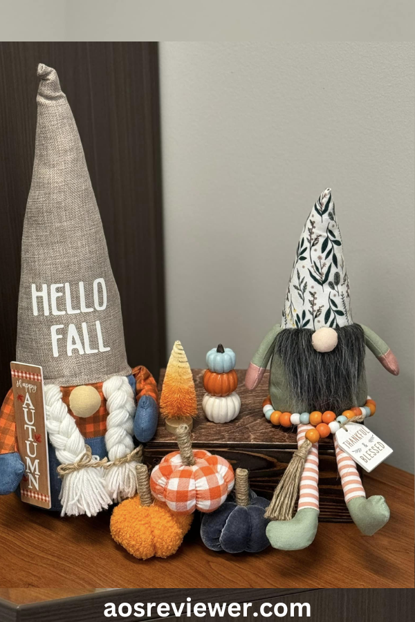 Fall Gnomes