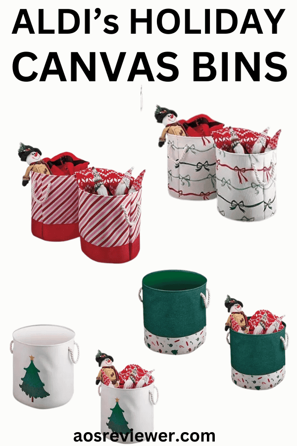 Aldi's Holiday Canvas Bins Pin