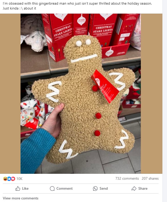 Gingerbread Pillow